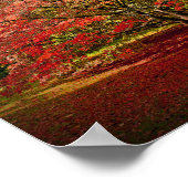 Autumn Acer Tree Westonbirt Arboretum Cotswolds Poster (Ecke)