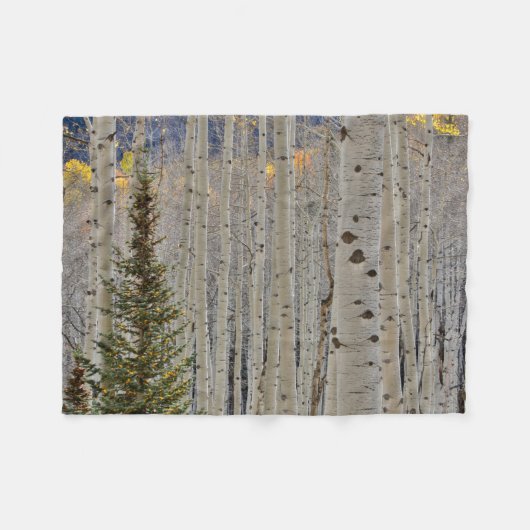 Autumn Aspen Groves | Colorado Rocky Mountains Fleecedecke (Vorderseite (Horizontal))