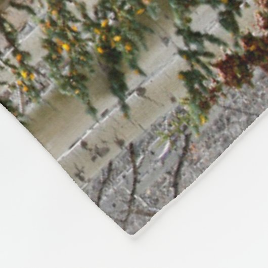 Autumn Aspen Groves | Colorado Rocky Mountains Fleecedecke (Ecke)