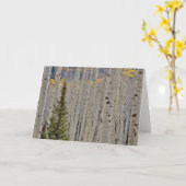 Autumn Aspen Groves | Colorado Rocky Mountains Karte (Gelbe Blume)