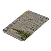 Autumn Aspen Groves | Colorado Rocky Mountains Magnet (Linke Seite)