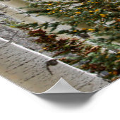 Autumn Aspen Groves | Colorado Rocky Mountains Poster (Ecke)