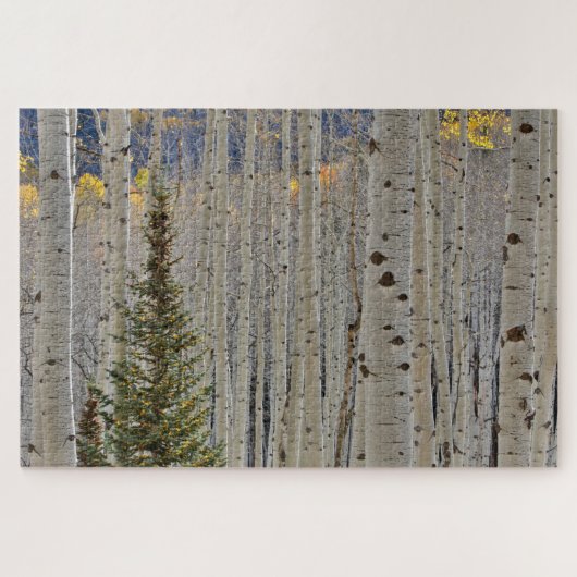 Autumn Aspen Groves | Colorado Rocky Mountains Puzzle (Horizontal)