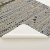 Autumn Aspen Groves | Colorado Rocky Mountains Sherpadecke (3/4)