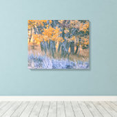 Autumn Aspen Leinwanddruck (Insitu (Holzboden))