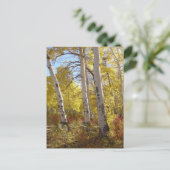 Autumn Aspen Postcard Postkarte (Stehend Vorderseite)