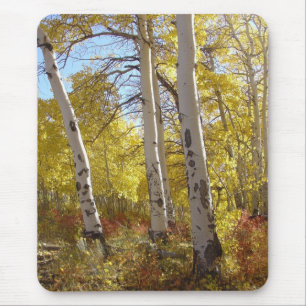 Autumn Aspen Trees Mountain Splendor Mousepad
