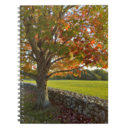 Autumn at Stone Wall Spiral Notebook Notizblock