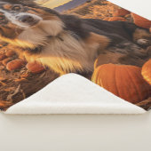 Autumn Australian Shepherd Sherpadecke (3/4)