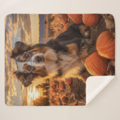 Autumn Australian Shepherd Sherpadecke (Vorderseite (Horizontal))