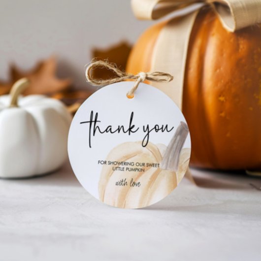 Autumn Baby Shower Little Pumpkin Round Geschenkanhänger