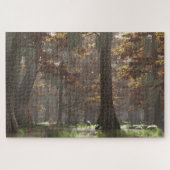 Autumn Bayou Puzzle (Horizontal)