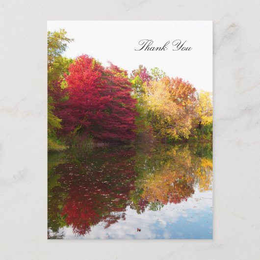 Autumn Beauty Beileid Danke Postcard Postkarte (Vorderseite)