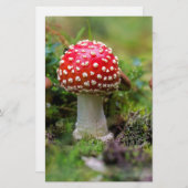 Autumn Beauty Briefpapier (Vorne/Hinten)