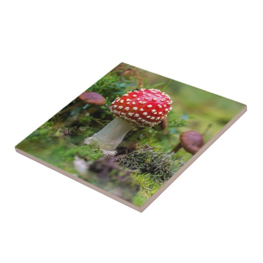 Autumn Beauty Fliese (Seite)