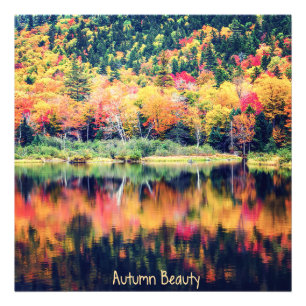 Autumn Beauty Fotodruck