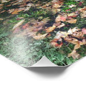 Autumn Beauty Fotodruck (Ecke)