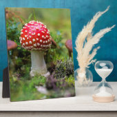 Autumn Beauty Fotoplatte (Seite)