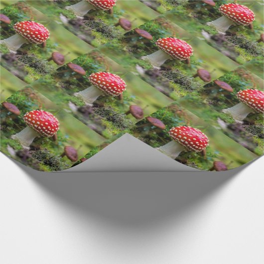 Autumn Beauty Geschenkpapier (Ecke)