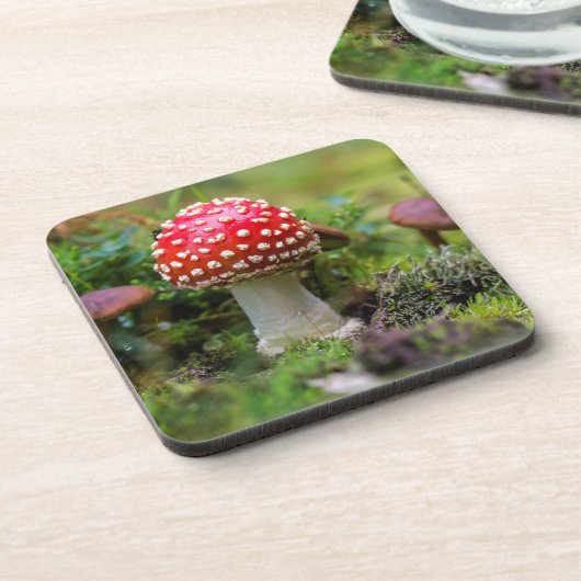 Autumn Beauty Getränkeuntersetzer (Linke Seite)