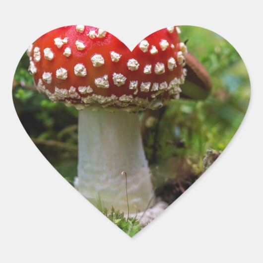 Autumn Beauty Herz-Aufkleber (Vorderseite)