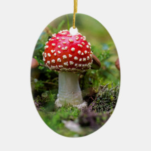 Autumn Beauty Keramikornament