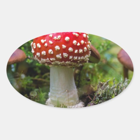 Autumn Beauty Ovaler Aufkleber (Vorderseite)