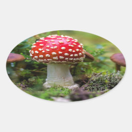 Autumn Beauty Ovaler Aufkleber