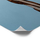 Autumn Beauty Poster (Ecke)