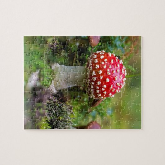 Autumn Beauty Puzzle (Horizontal)