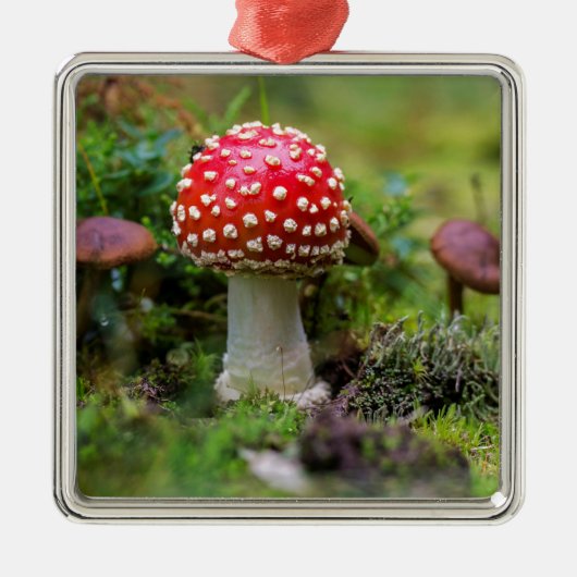 Autumn Beauty Silbernes Ornament (Vorne)