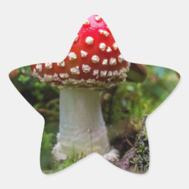 Autumn Beauty Stern-Aufkleber