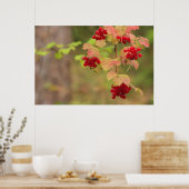 Autumn Berries Print Poster (Küche)