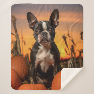 Autumn Boston Terrier Sherpadecke