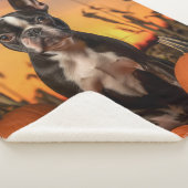 Autumn Boston Terrier Sherpadecke (3/4)