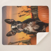 Autumn Boston Terrier Sherpadecke (Vorderseite (Horizontal))