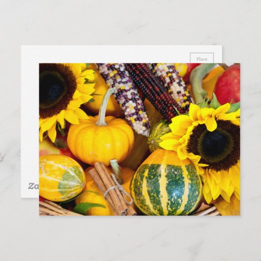 Autumn Bounty Postkarte (Vorne/Hinten)
