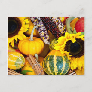 Autumn Bounty Postkarte