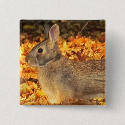 Autumn Bunny Button (Vorderseite)