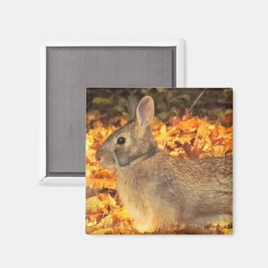 Autumn Bunny Magnet (Vorderseite/Rückseite)
