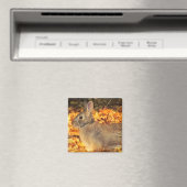 Autumn Bunny Magnet (In Situ (Geschirrspüler))