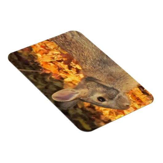 Autumn Bunny Magnet (Rechte Seite)