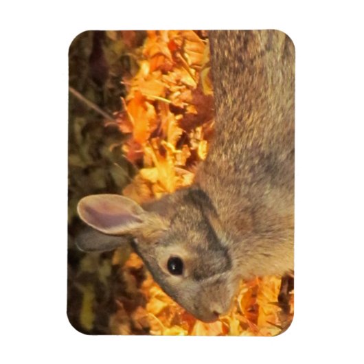 Autumn Bunny Magnet (Vertikal)