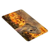 Autumn Bunny Magnet (Rechte Seite)