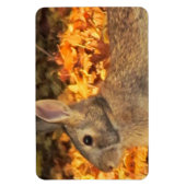 Autumn Bunny Magnet (Vertikal)