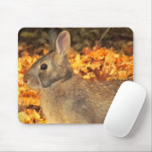 Autumn Bunny Mousepad (Mit Mouse)