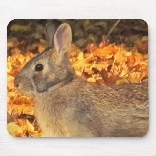 Autumn Bunny Mousepad (Vorne)