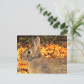 Autumn Bunny Postkarte (Stehend Vorderseite)