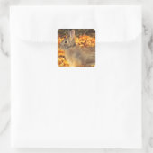 Autumn Bunny Quadratischer Aufkleber (Tasche)