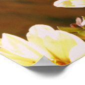 Autumn Butterfly Poster (Ecke)